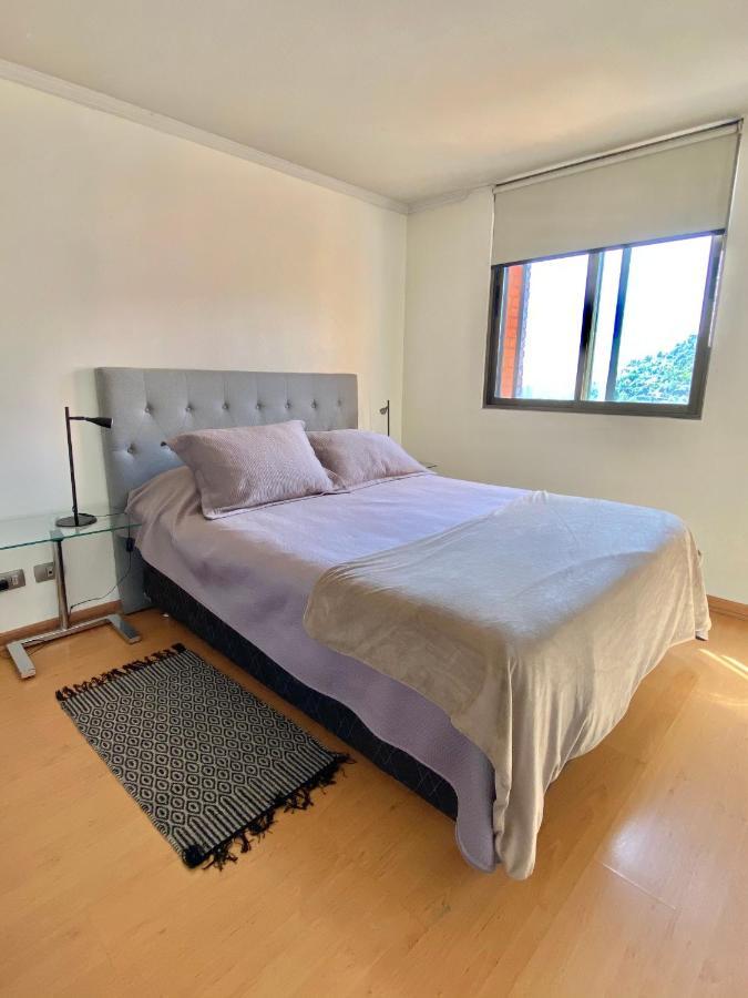 Providencia Plaza Apartment Сантяго Екстериор снимка