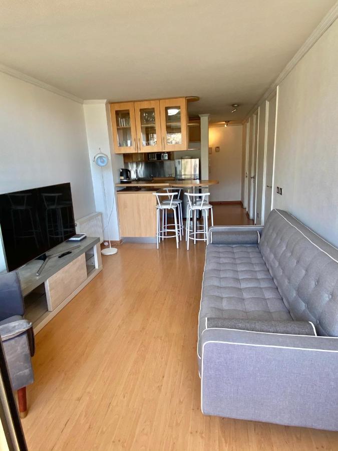 Providencia Plaza Apartment Сантяго Екстериор снимка