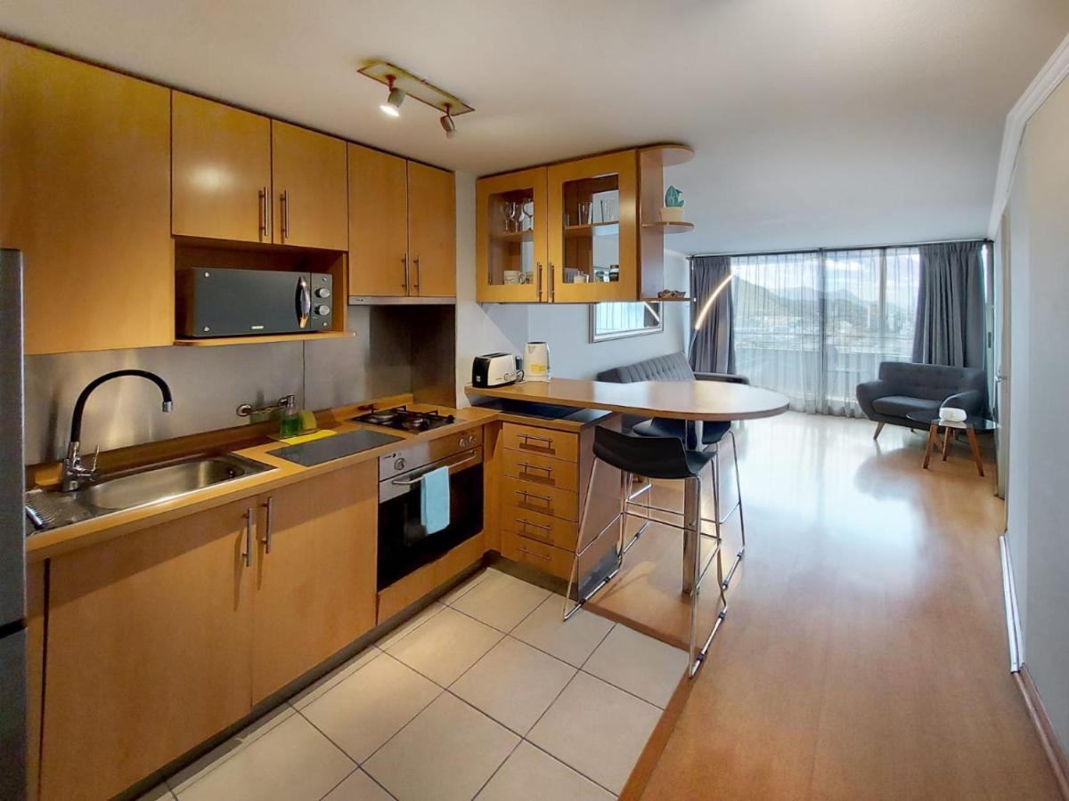 Providencia Plaza Apartment Сантяго Екстериор снимка
