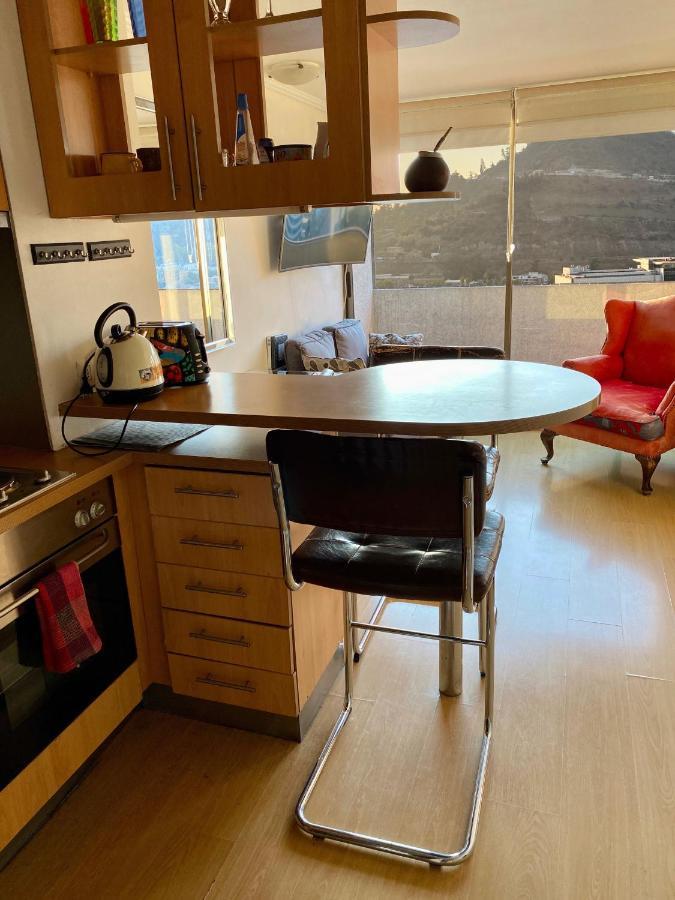Providencia Plaza Apartment Сантяго Екстериор снимка