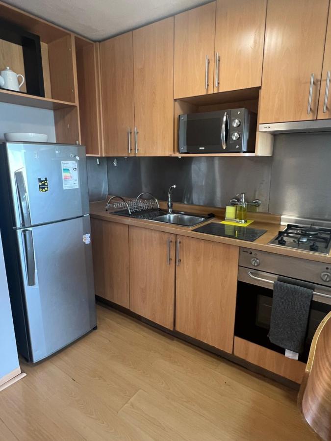 Providencia Plaza Apartment Сантяго Екстериор снимка