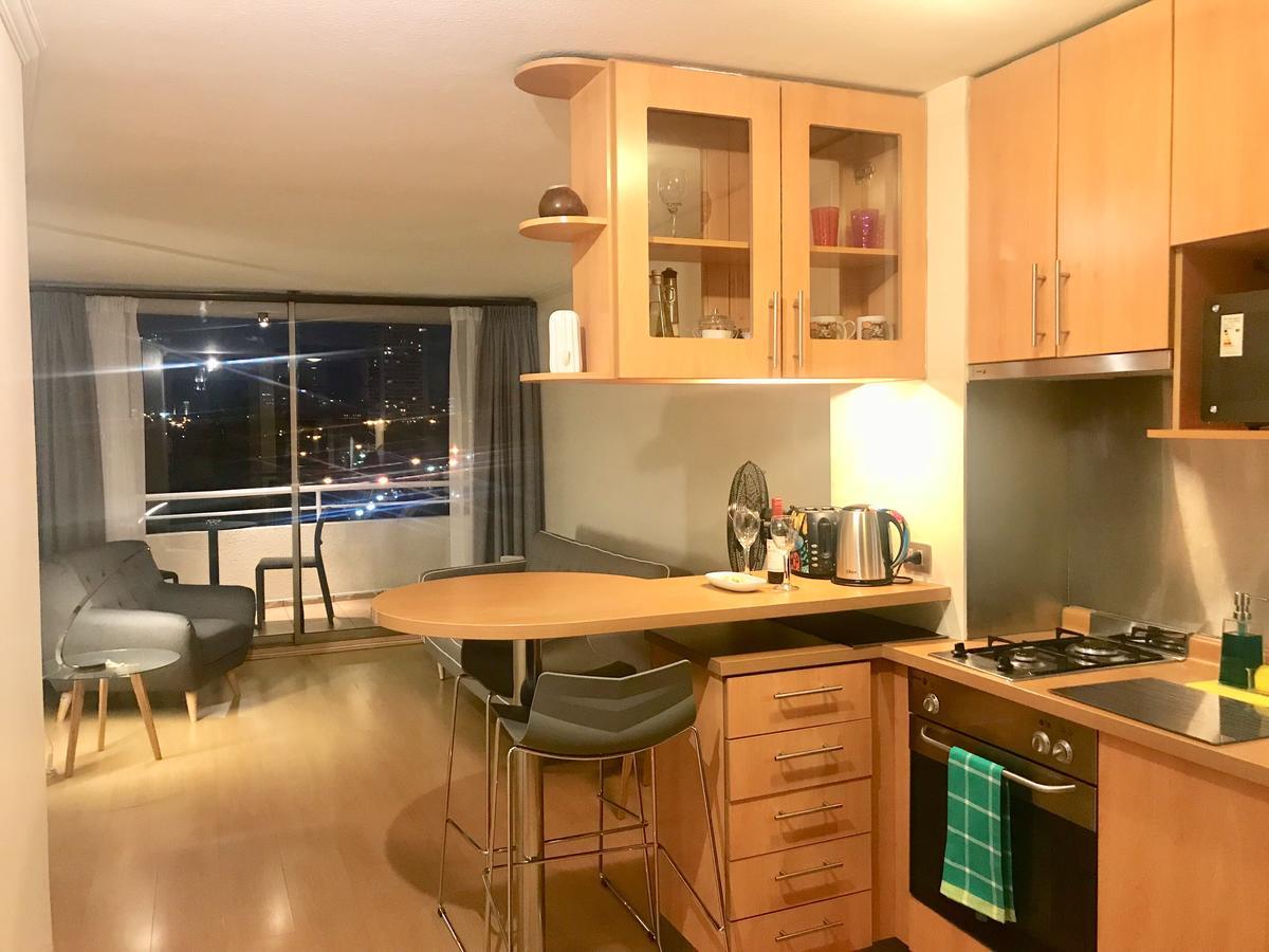Providencia Plaza Apartment Сантяго Екстериор снимка
